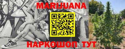 прущие крисы Лесосибирск