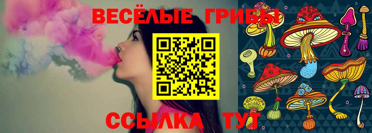 Владикавказ  Галлюциногенные грибы Magic Shrooms  Вход с VPN 